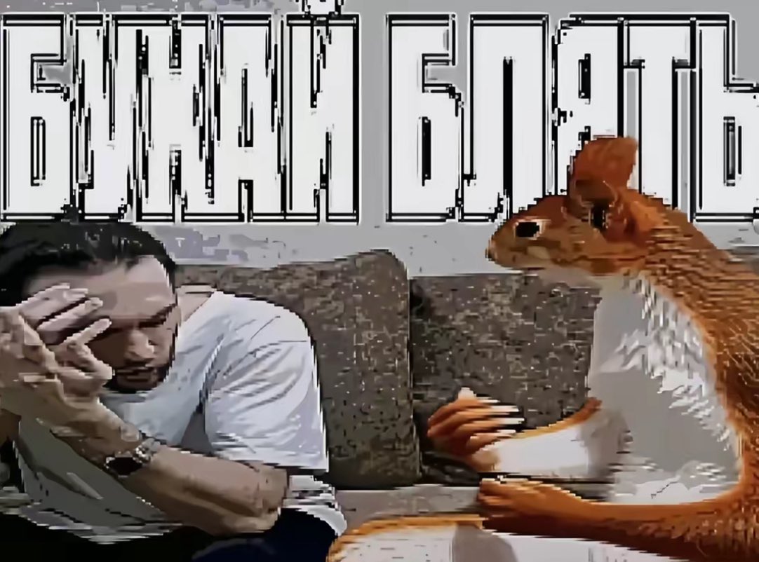 𑣲 vivi tweet media