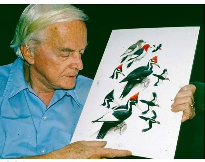 Donate blankets/towels to🐾humane society, please. tweet media