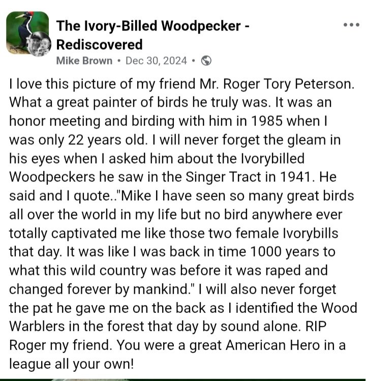 Donate blankets/towels to🐾humane society, please. tweet media