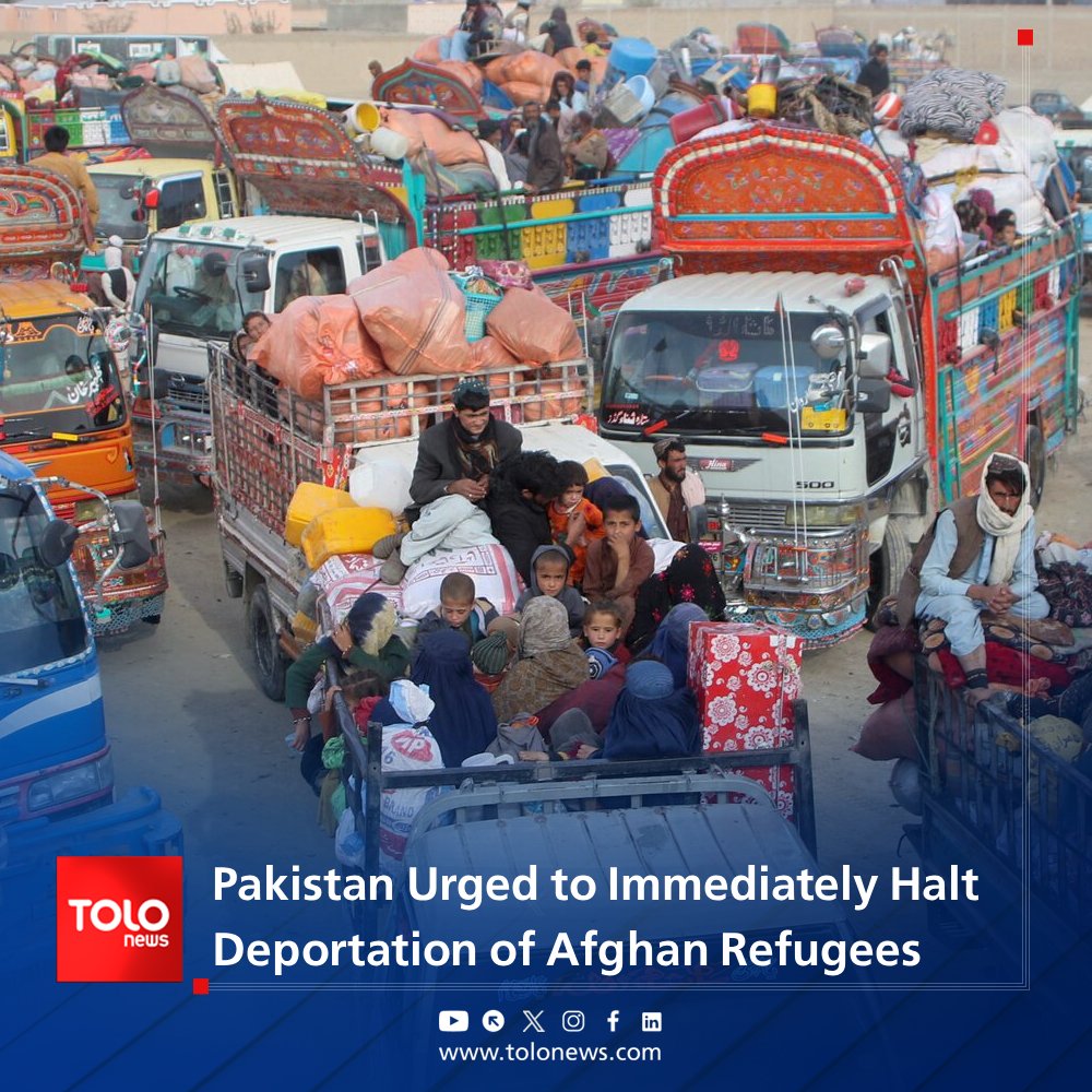 TOLOnews English tweet media