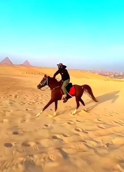 مـحمـودعبدآلظـآهہ‏‏ر ✨🦅✨ tweet media