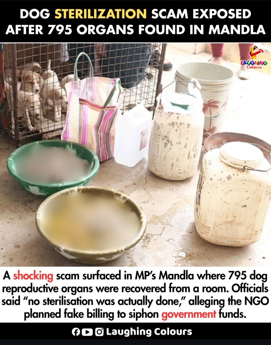 j.a.h.n.a.v.i._.i.y.e.r tweet media