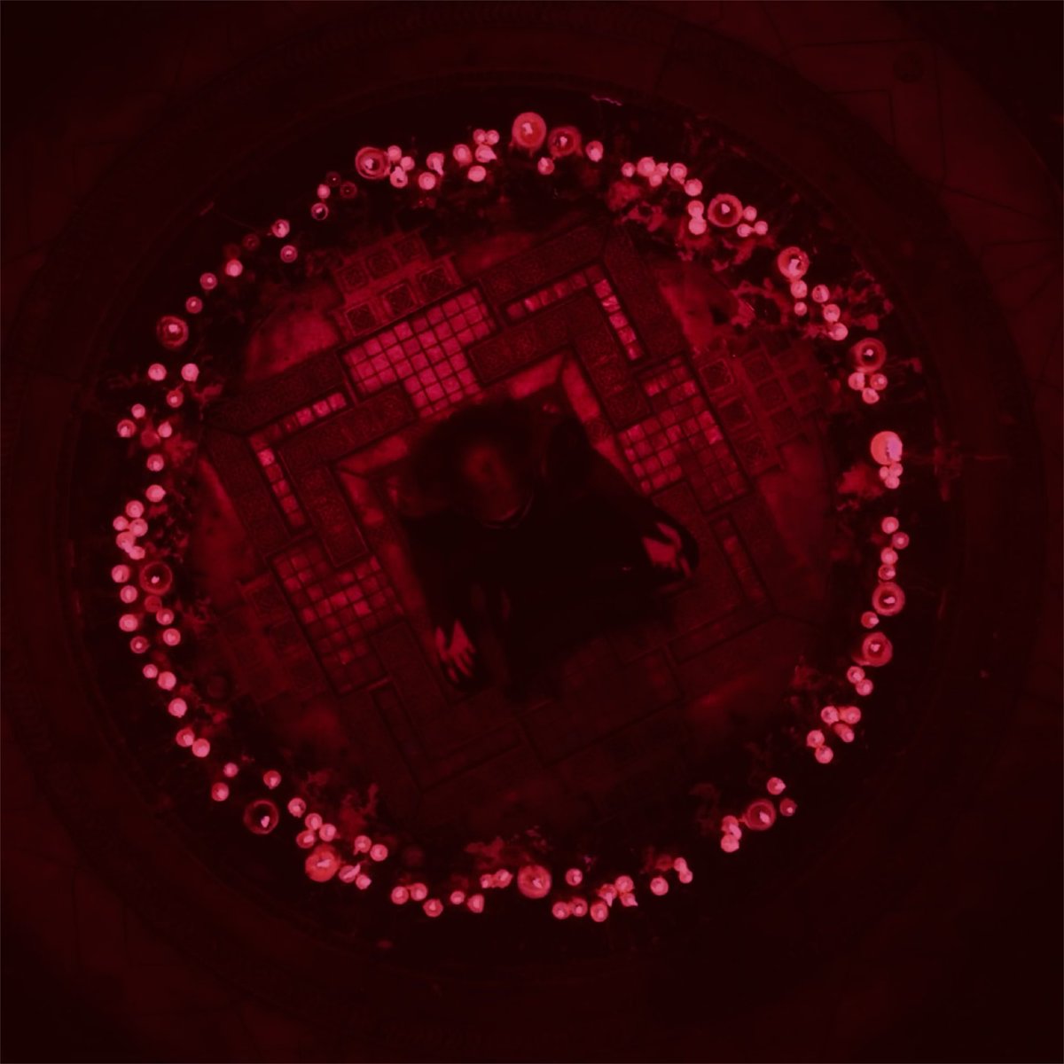 𝐖𝐀𝐋𝐓𝐄𝐑 𝐌𝐀𝐗𝐈𝐌𝐎𝐅𝐅 tweet media