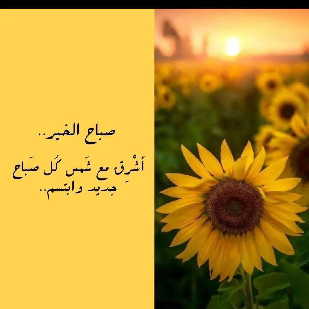 نــوف❤️ tweet media