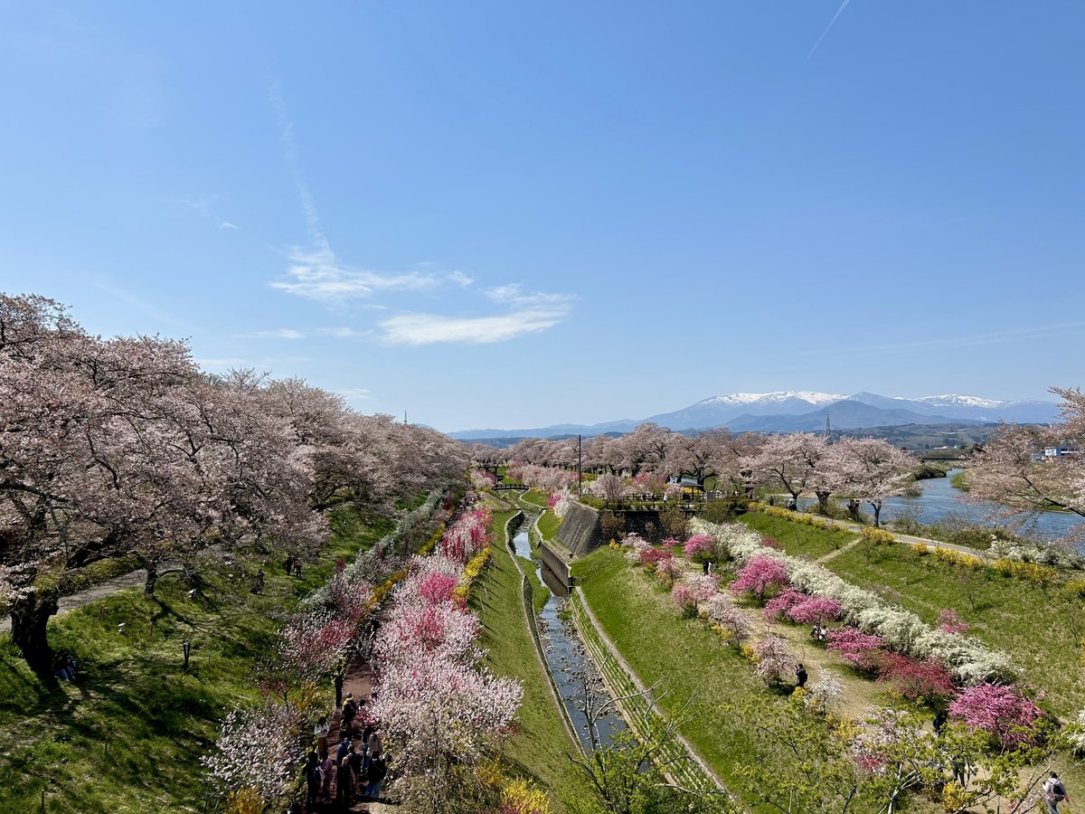 イリス🌈 tweet media