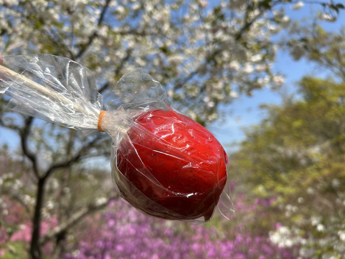 イリス🌈 tweet media