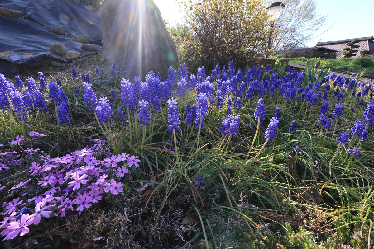 小松正晴 tweet media