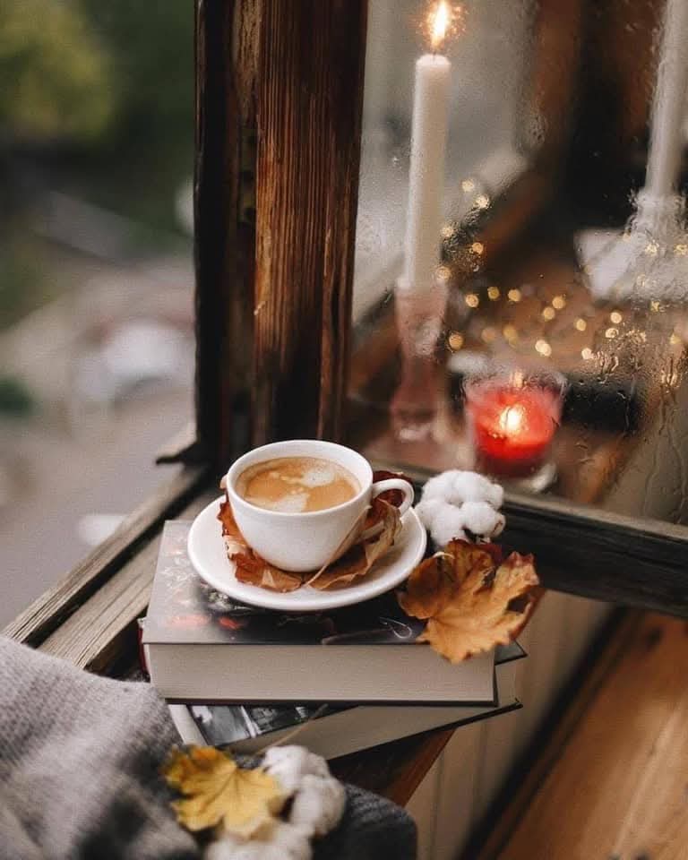 nilüfer hatun ömeroğlu tweet media