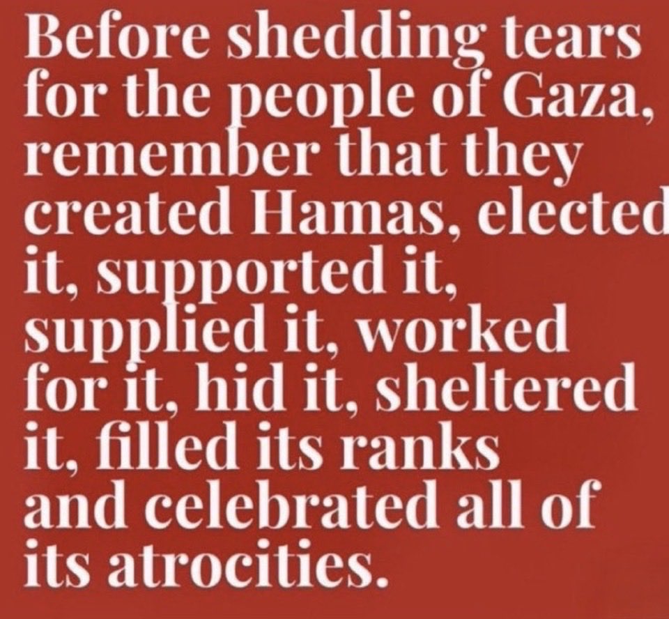 Underground Kiwi tweet media