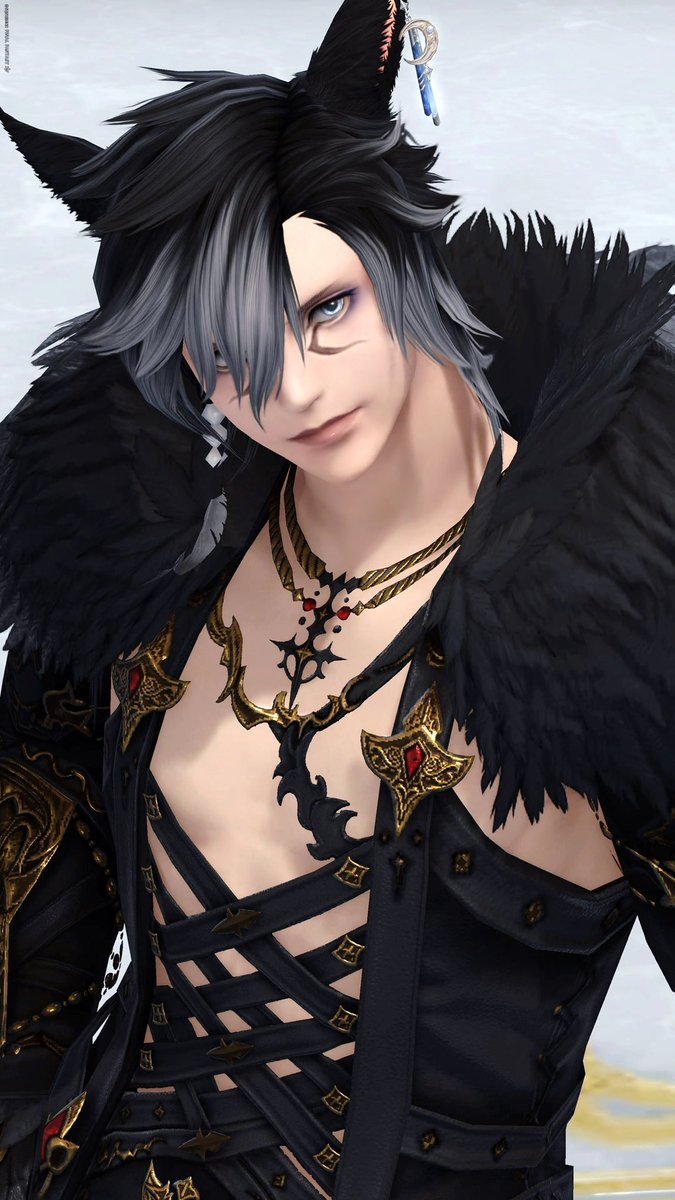 mq_ff14's tweet photo. 🐈‍⬛ https://t.co/79sGxRu91k