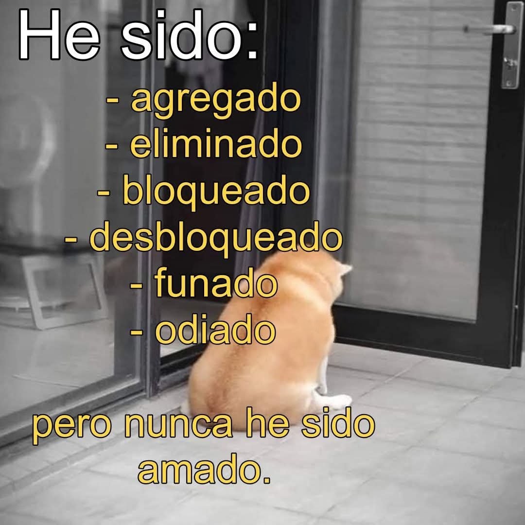 Cap Briagowsky tweet media