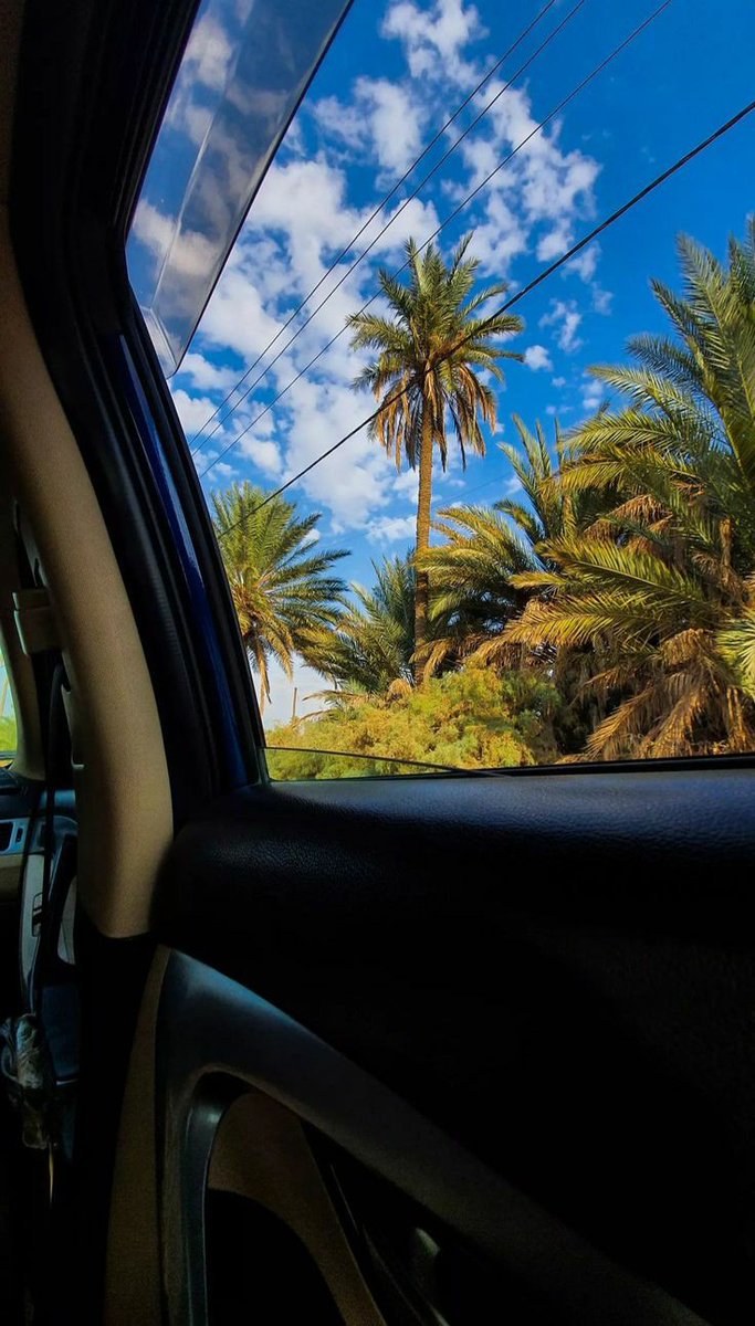 فاطمة الشريقي tweet media