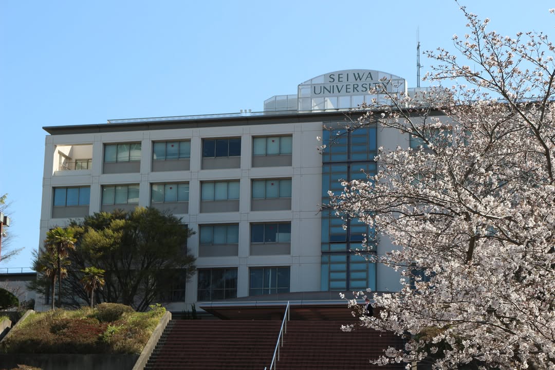 seiwauniv's tweet photo. 2026年4月3日　清和大学の入学式が挙行されました。

#清和大学 #法学部 #入学式 #桜 https://t.co/6Fh6LpC070