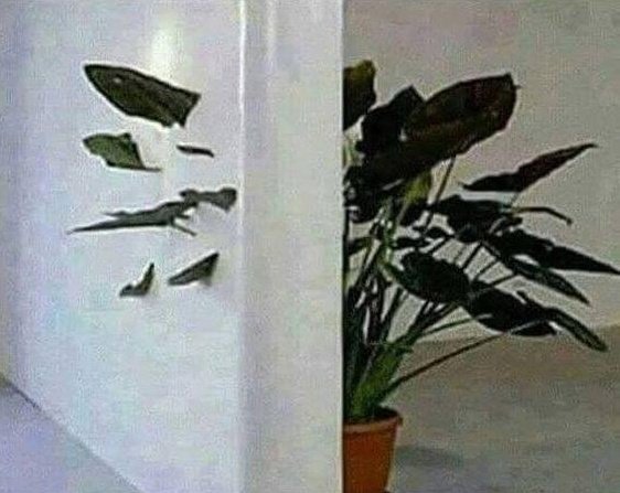 Ana_LaPatata tweet media