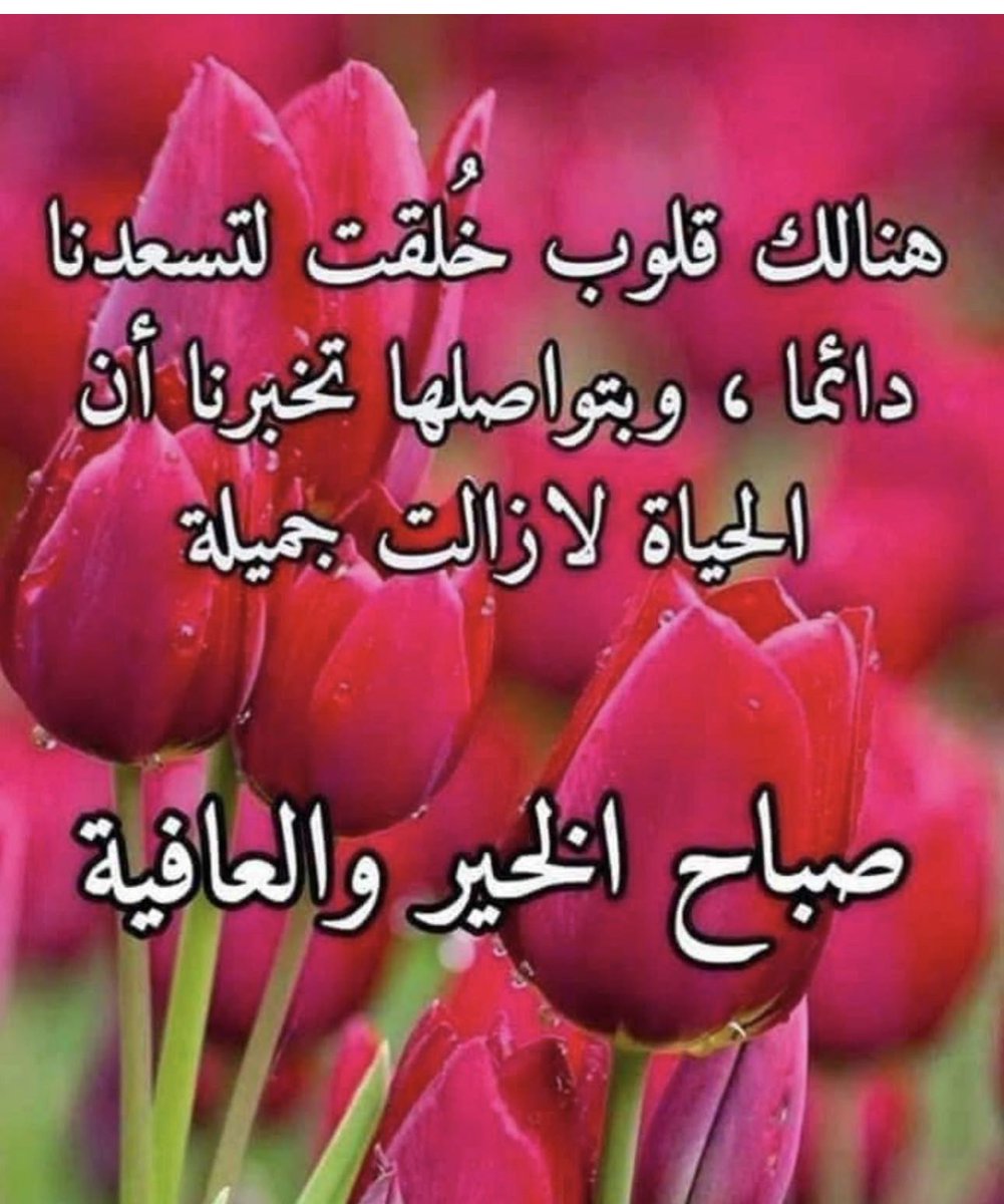 flower8762's tweet photo. أين  المحبه الصادقه من القلب هي نابعه

عندما تراك   بوجهك مبتسمه ضاحكه 

تفتكرك  اليوم وبعدها راحله

ترد حاضر ولكن مو فاضيه

صدق اصبحت المحبه  بهذا الزمن نادره

❤️جميله❤️ https://t.co/joAznw22CY