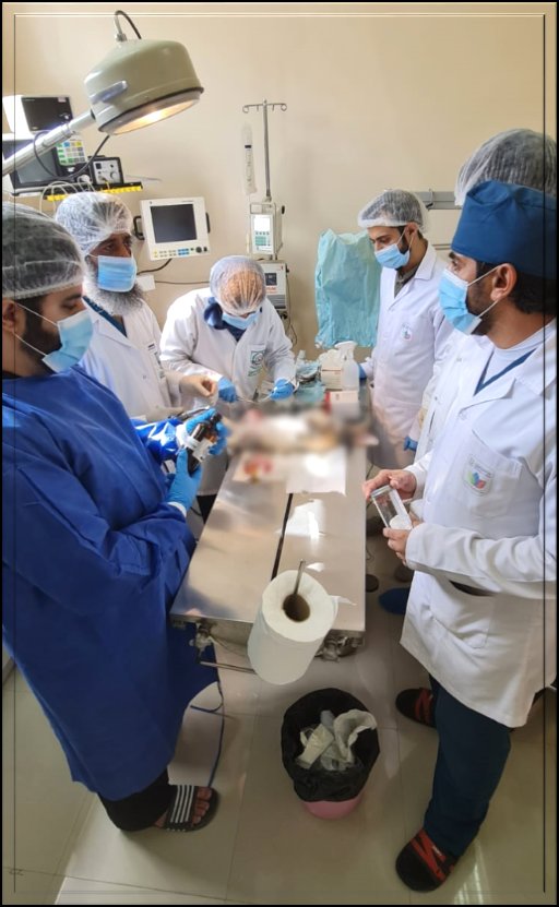 مجلة التكوين.. بيت الغشام للصحافة والنشر والإعلان tweet media