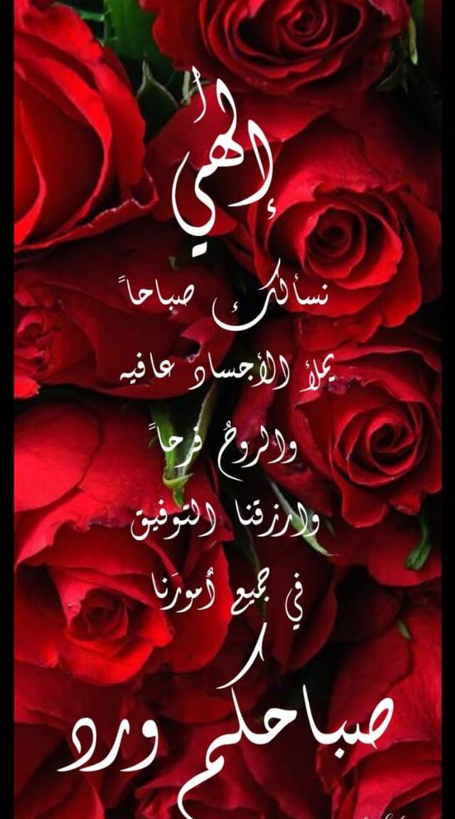 الاميره ساندي (@abomohdeen) on Twitter photo 