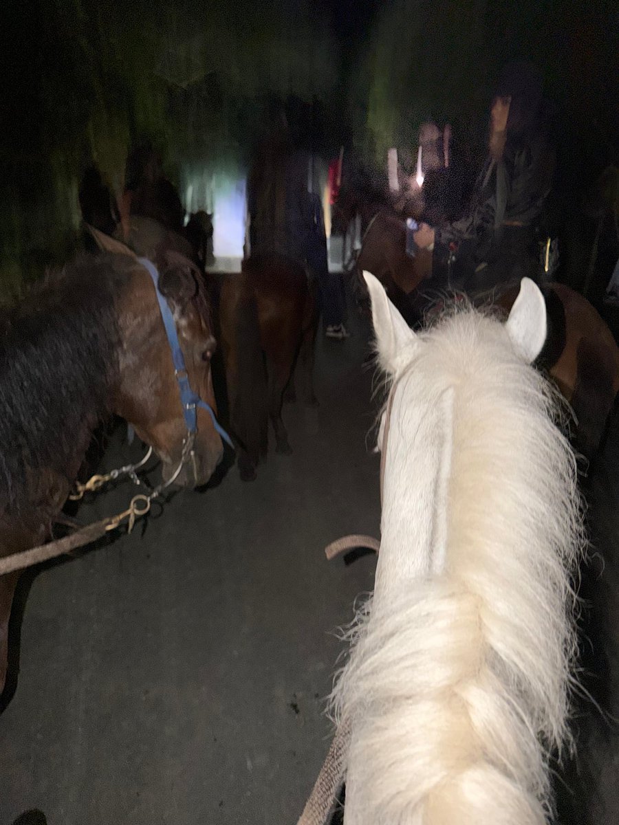 EiderAlejandr17's tweet photo. Caballos música ay amigos 🐎🥃 https://t.co/QkJ3JBThoN