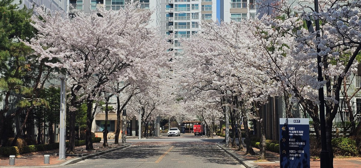 작은 까마귀 tweet media