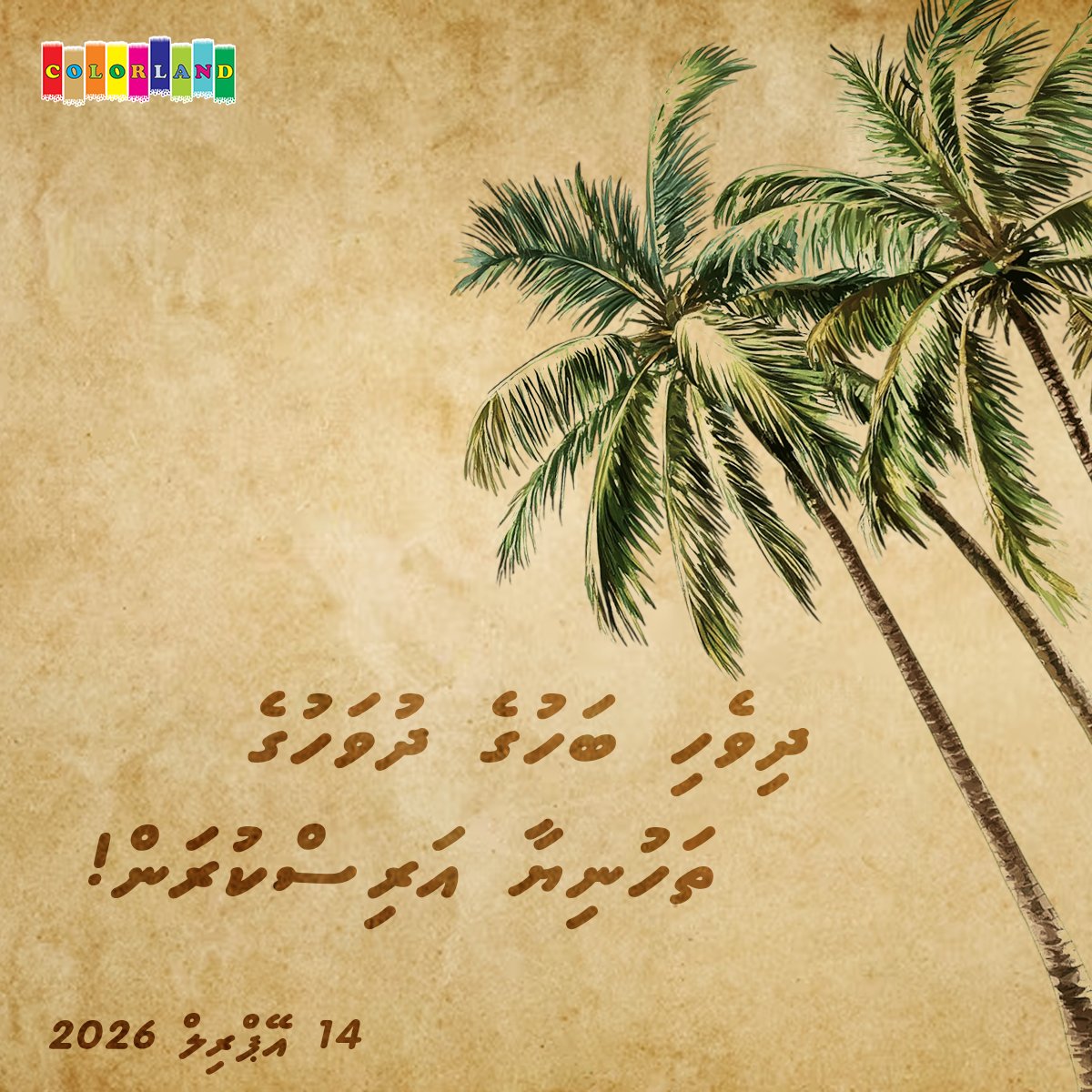 Colorland Maldives tweet media