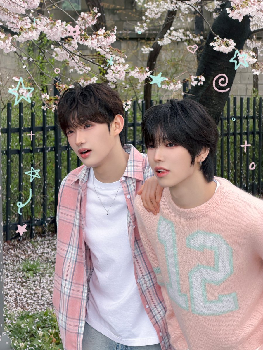 idntt_cosmo's tweet image. ⋆🐾⋆ 산책멍 산책냥 ₍^. .^₎⟆