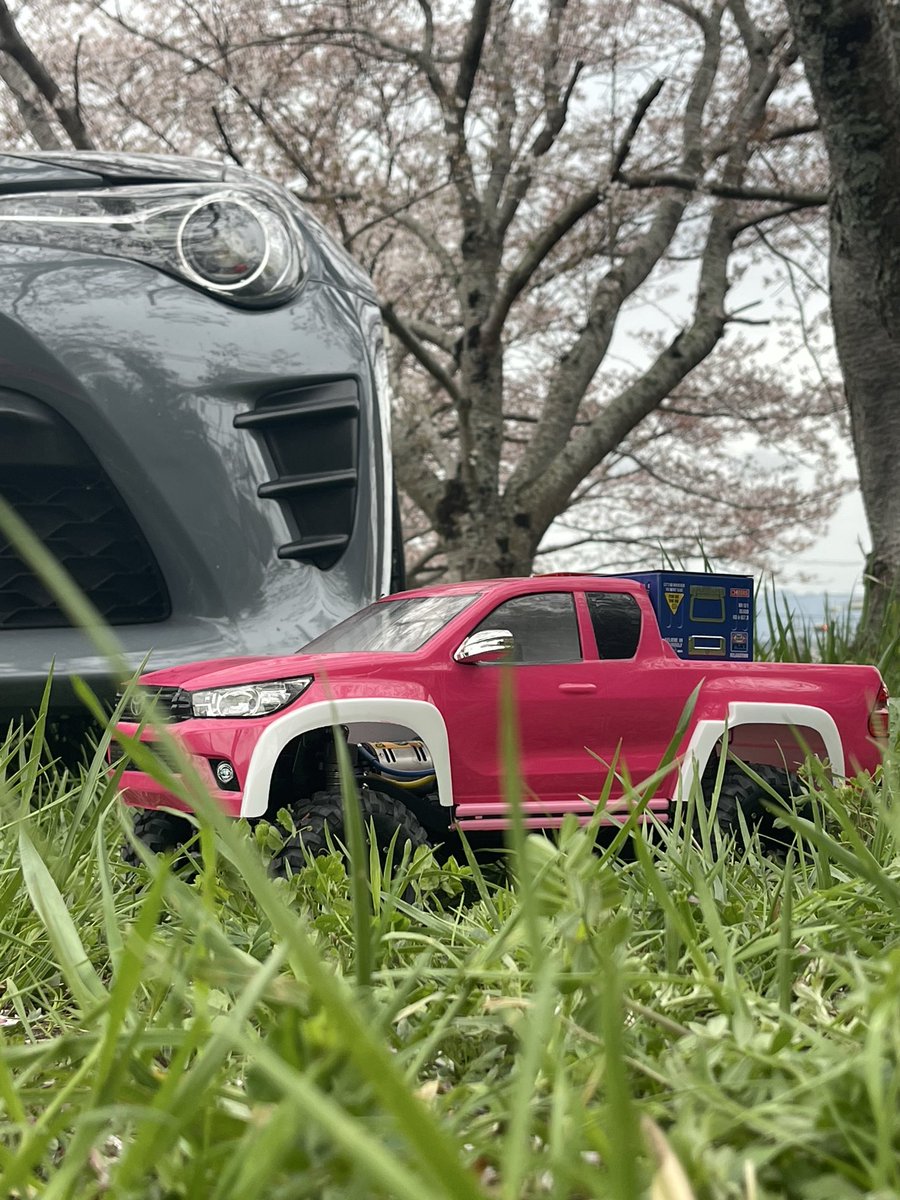 hkl_rc's tweet photo. クローラーとお散歩を兼ねて、お花見ドライブ😊
満開できれいでした🌸🌸🌸

#cc02 #tamiya #ラジコン女子 #クローラー #花見 https://t.co/7Gx3t89FCM