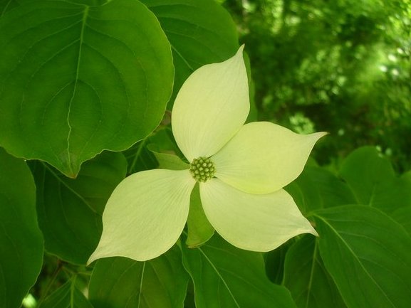 tanosiisupi_bot's tweet image. 真に私にとって必要なのは、私だけ。
→その私を大切にしないから、辛くなる。

・理解
・リスペクト
・したい事をさせる
・内側で見つけた可能性を形にしてゆく
・適時癒す
・必要十分な休息
・不用心を慎む
・駄目な事は諦める

当り前の事をしてこなかった。‥それだけなのです。
#SelfLove #自愛