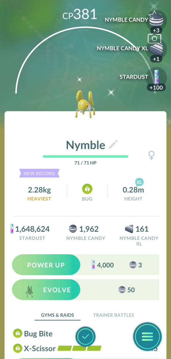 HyssopPuppy's tweet image. A shiny I've wanted forever and another hundo scatterbug!! And the morning is still young!😊
#PokemonGo #shiny #hundo