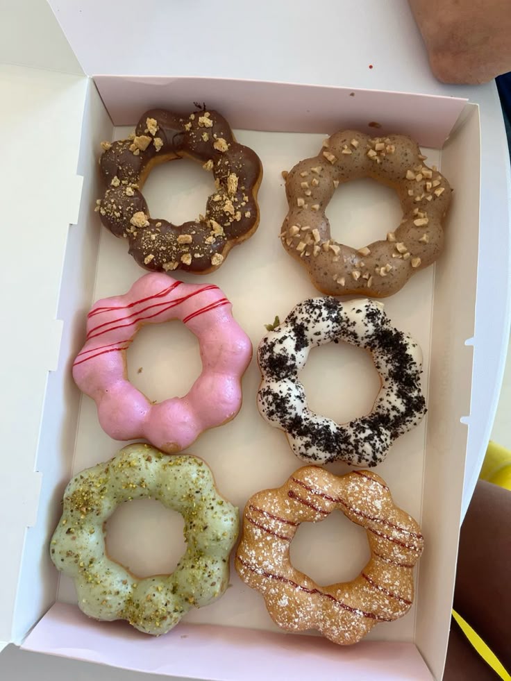 𝑰𝒗𝒊 𝟐.𝟎 / 𝑺𝒉𝒆𝒅𝒕𝒘𝒕 tweet media