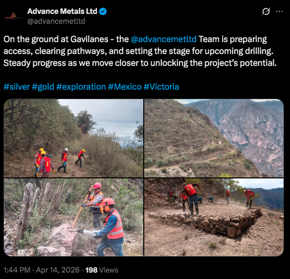 TheArchitect tweet media