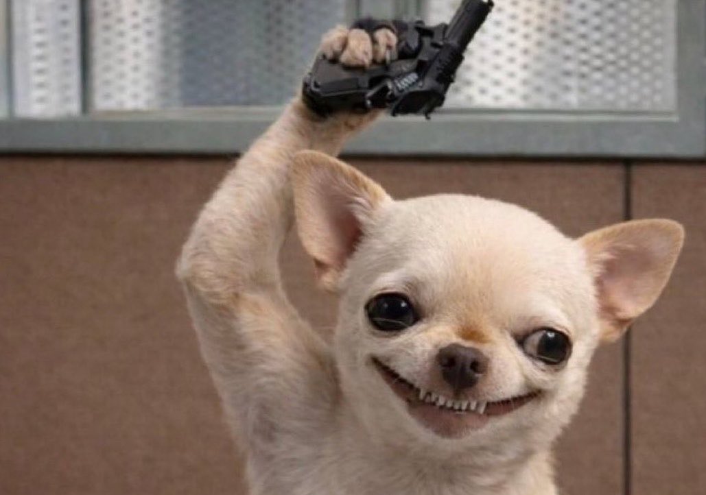 itshim280's tweet image. GM CT 

The oxygen of the world is awake again

I'm sorry for keeping you waiting 

Y'all can now breathe