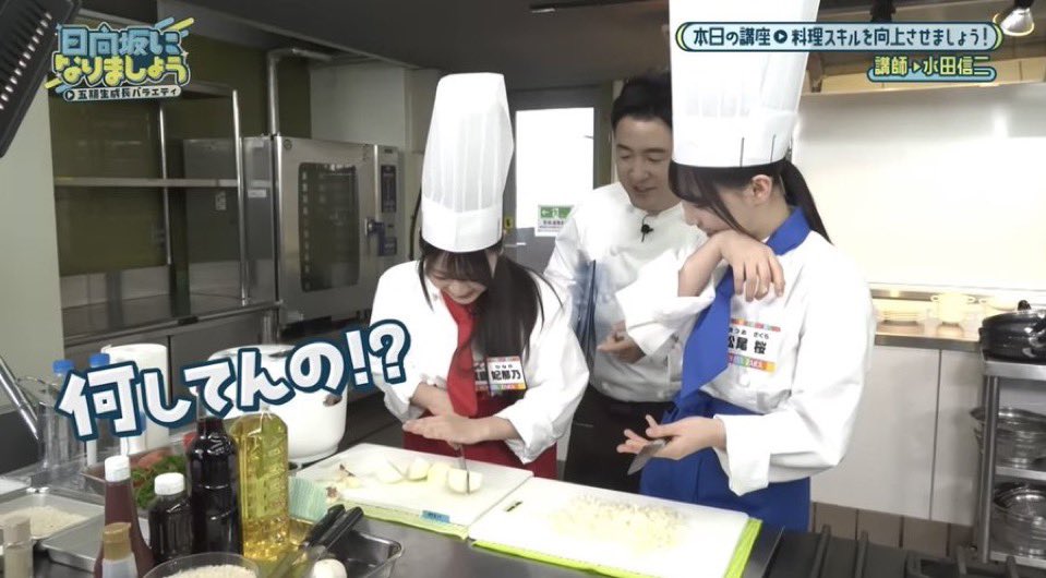 きらりんの細胞/おつまみひなのん tweet media