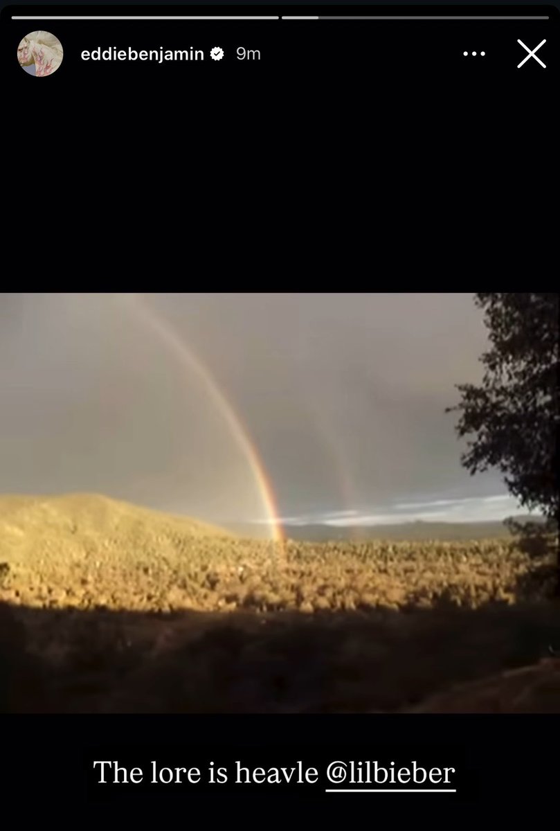 ₊˚❀༉‧₊˚ tweet media