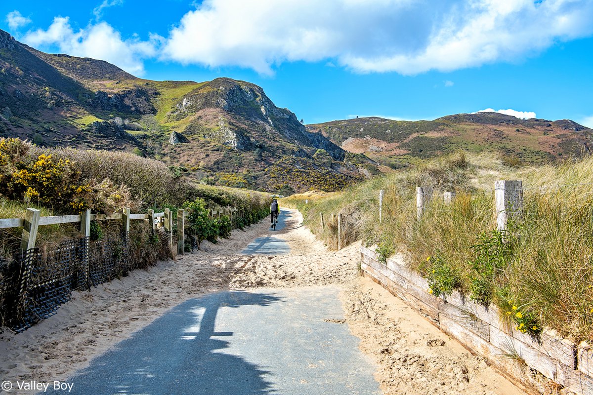 It's Your Wales tweet media