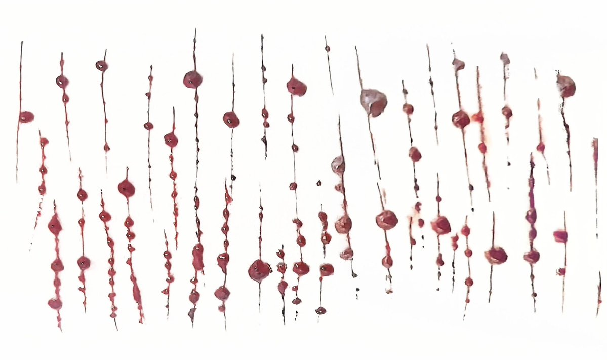 vy ꗃ shedtwt! tweet media