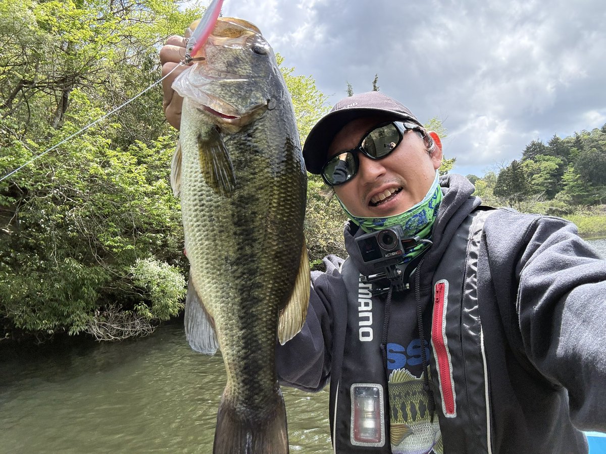 Mr.ノーバイト / 北畠蘭知亜 tweet media