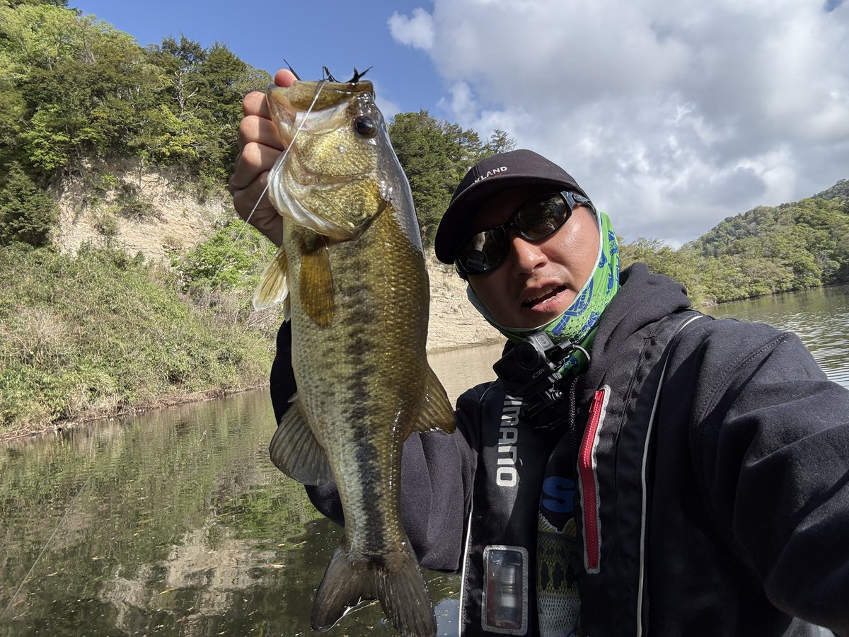 Mr.ノーバイト / 北畠蘭知亜 tweet media