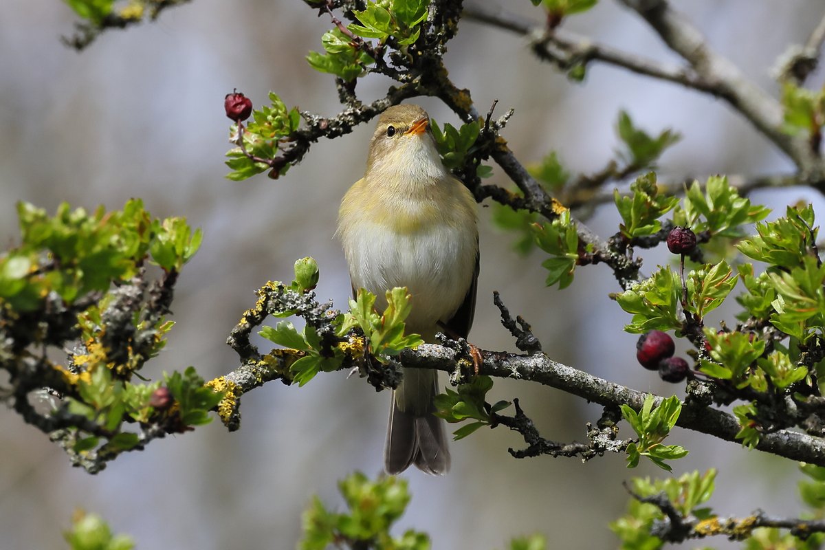 Alan S.Jack tweet media