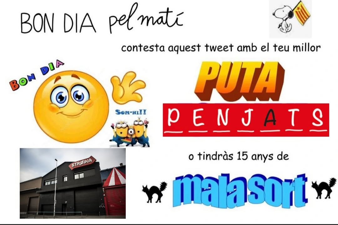 Escola d'Aigua Trempada tweet media