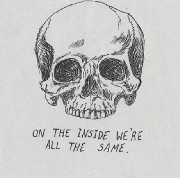 Viral Vibe tweet media