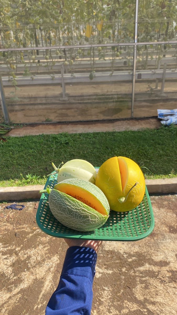 Unpadfess tweet media