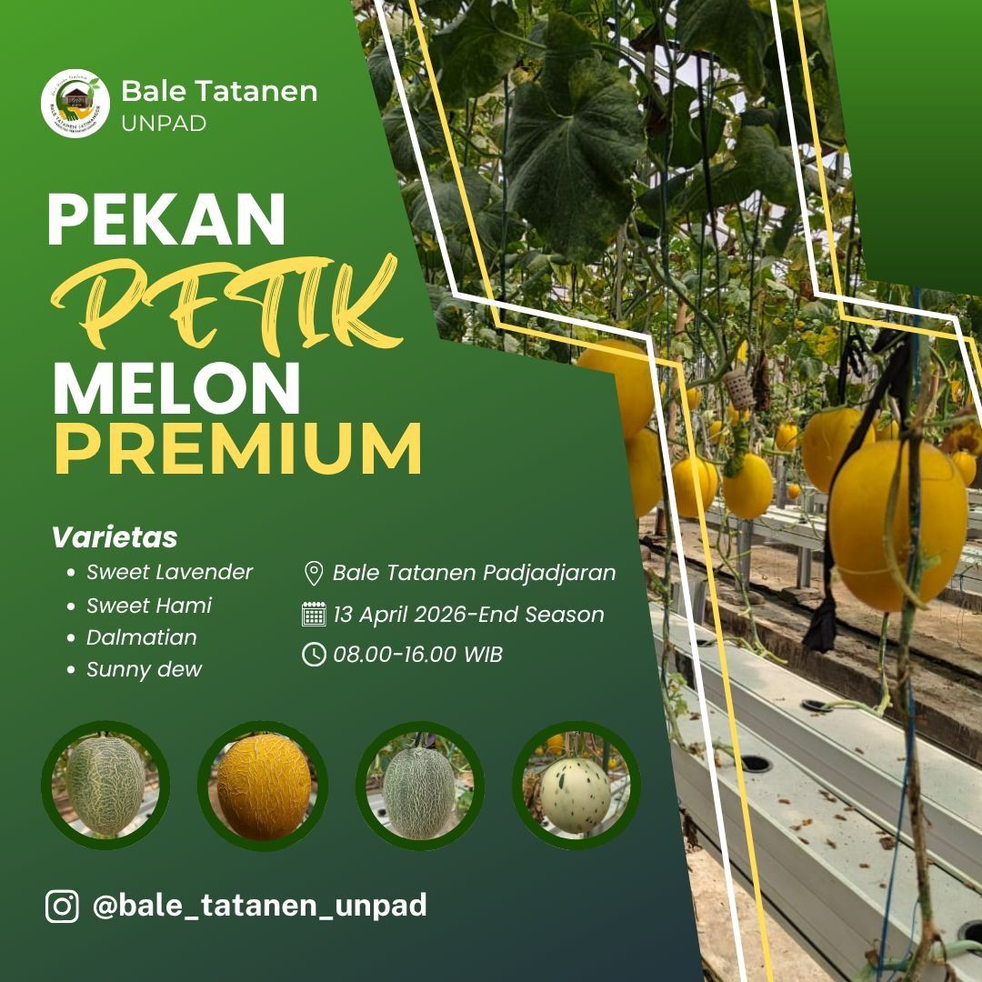 Unpadfess tweet media