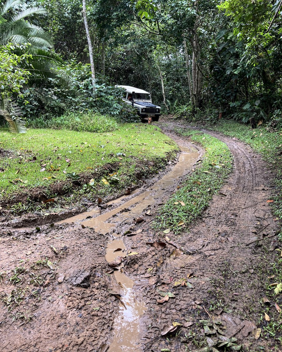 oncourse4wd's tweet photo. Start of a 3 Day Programme - definitive 4wd skills for operation in rural areas.
Mogul exercise.
Rain. Rain. Rain.
___
Proactive. Practical. Proven.
25+ years teaching what works.
#OnCourse4wd #4wdTraining #DriverDevelopment https://t.co/WZkKP8iGAL