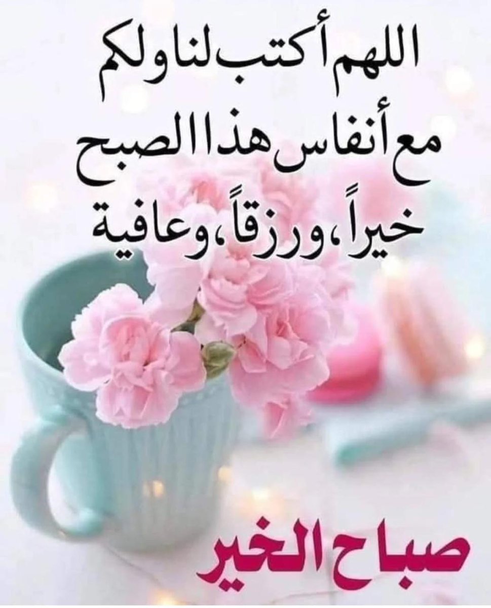 hany mousa tweet media