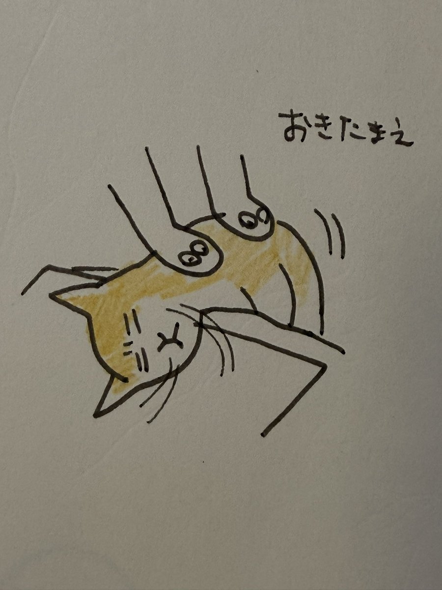 Yuko higuchi ヒグチユウコ tweet media