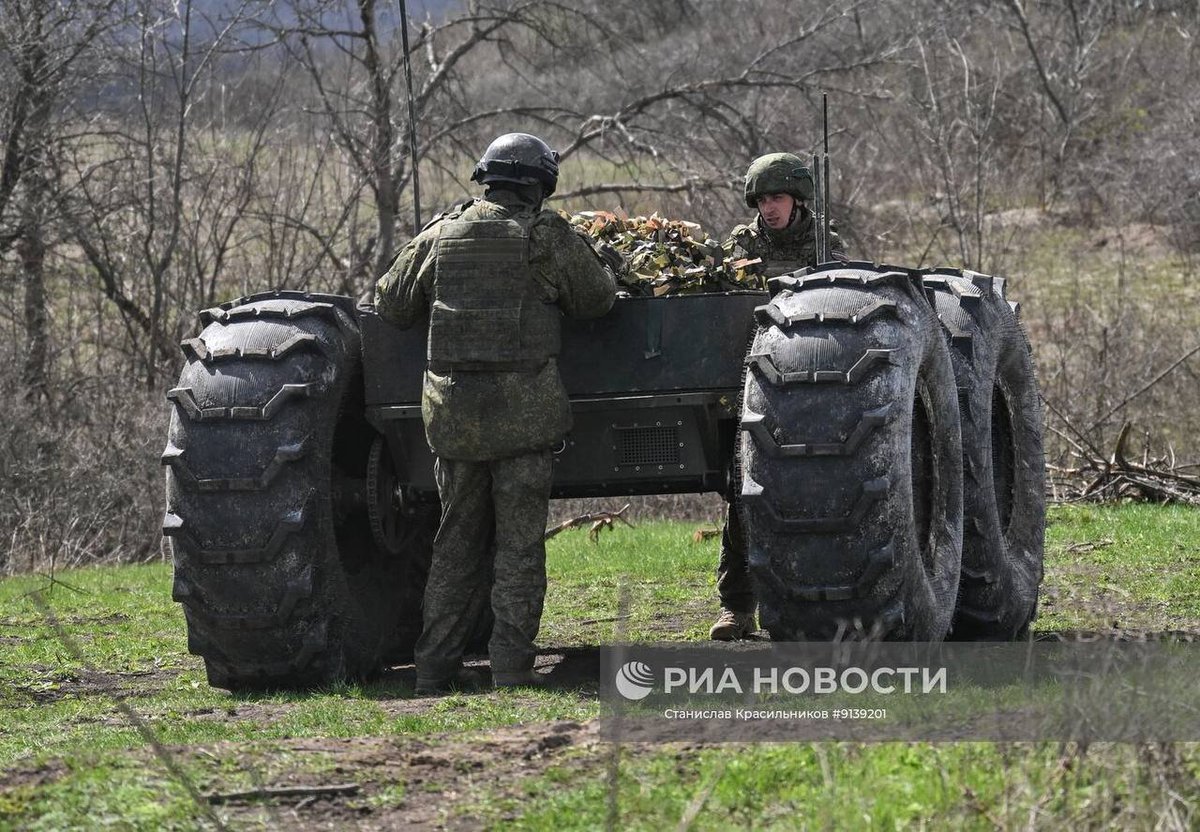 gustiiz31 tweet media