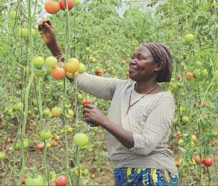 Enock KWIZERA tweet media