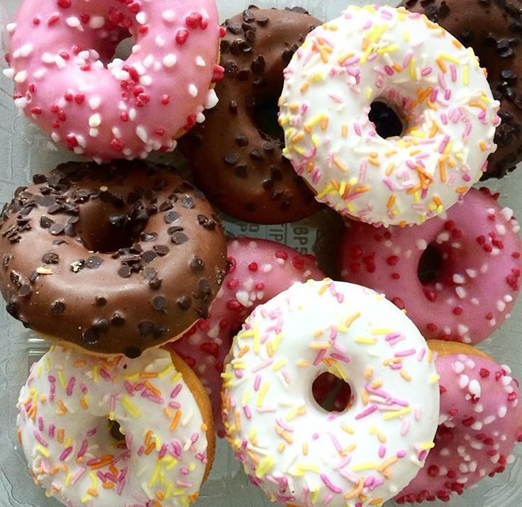 𝑰𝒗𝒊 𝟐.𝟎 / 𝑺𝒉𝒆𝒅𝒕𝒘𝒕 tweet media