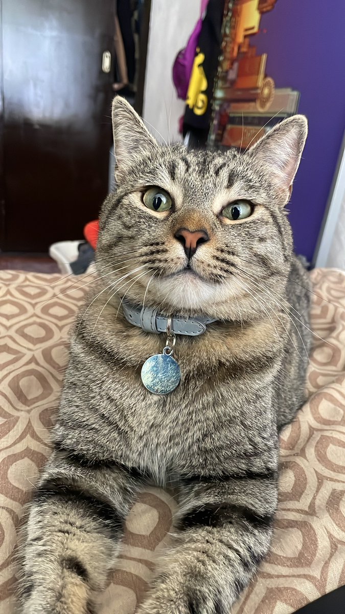 valehasbulla⭐️ tweet media