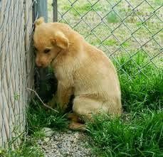 ᴅᴜᴅᴀ 🍷 tweet media